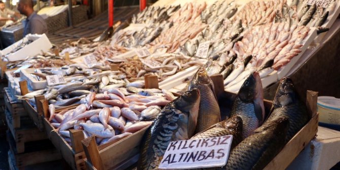 Yasak kalktı, en pahalı balığın kilosu bile 15 liraya düştü