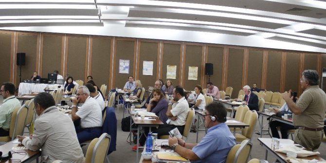 "Dünyada ve Türkiye’de üretilen balın yüzde 25-30’u sahte "