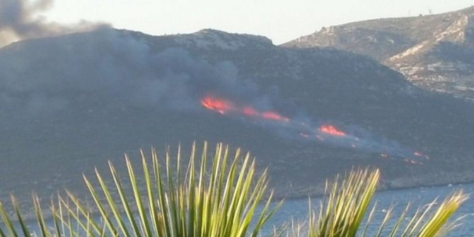 Meis Adası’nda orman yangını