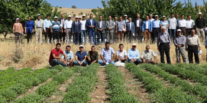 Elazığ’da tarla günü düzenlendi