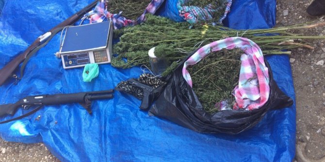 Düzce’de polis ve jandarmadan uyuşturucu operasyonu