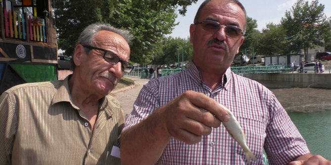 Beyşehir Gölü’nden kanala yavru balık akışına tepki