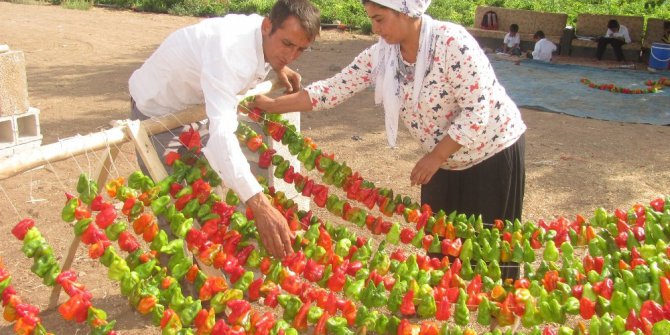 Kurutmalık salça ve turşuluklara yoğun ilgi
