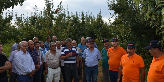 3. Armut Bahçe Günü