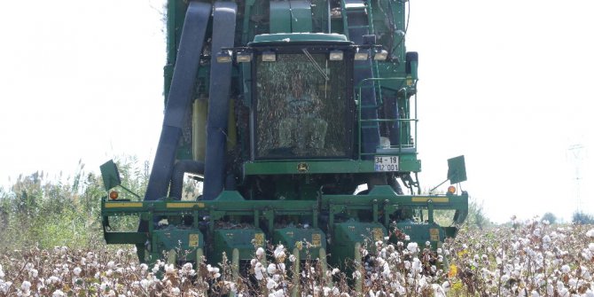 Antalya’da pamuk hasadı başladı