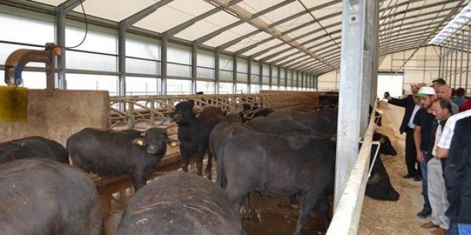 ‘Mandalar Mutlu Çiftçiler Umutlu’ Projesi