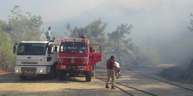 Mersin’de Orman Yangını