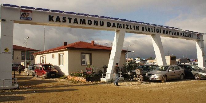 Kastamonu’da Hayvan Pazarı Tekrar Kapatıldı
