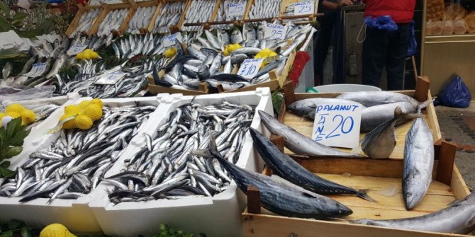 Palamudun fiyatı dudak uçuklatıyor