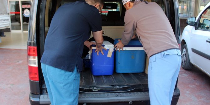 Denizli’den İzmir’e organ nakli