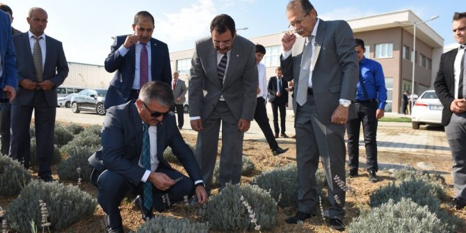 Çiftçilerin kazançları büyükşehir ile arttırıyor