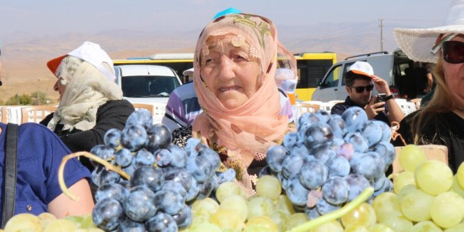 Üzümler yarıştı, birinciler çapa makinesi kazandı