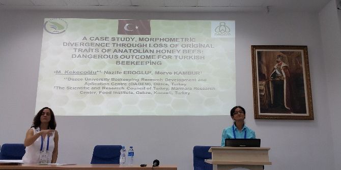 Dagem’in Çalışmalarına Uluslararası İlgi