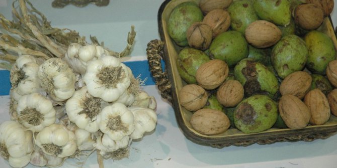 Tarım ürünleri ve teknoloji makineler bu fuarda buluştu