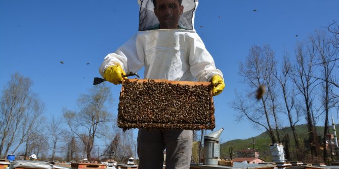 Ordulu arıcılardan ‘petekli bal’ tepkisi