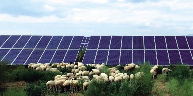 Kubuqi Modeli ile çölde yaşayan ailelerin hayatı değişti