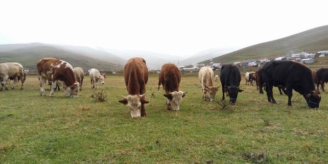 Mevsimin İlk Kar Yağışı Vatandaşı Tedirgin Etti