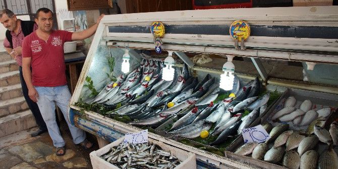 Lapseki’de Palamut Fiyatları Düştü