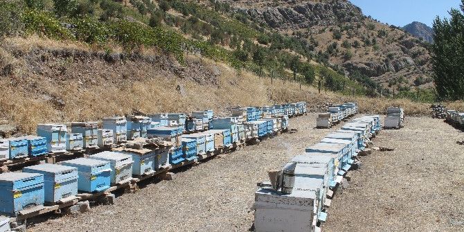 Beytüşşebaplı Arıcılar Kuş Nöbetinde