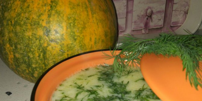 Kolay nefis sağlıklı Kabak Çorbası