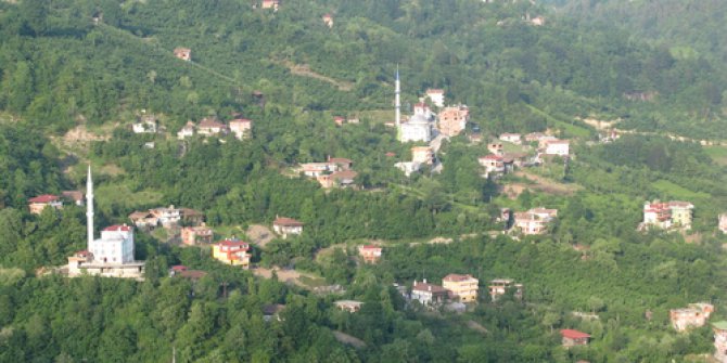 Of Fındıkoba Köyü