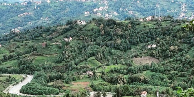 Of Çukurova Köyü