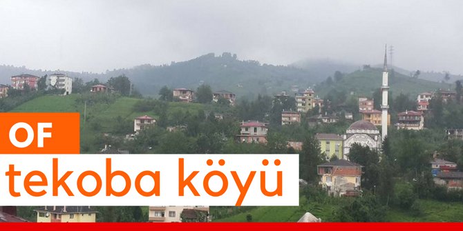 Of Tekoba Köyü