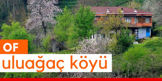 Of Uluağaç Köyü