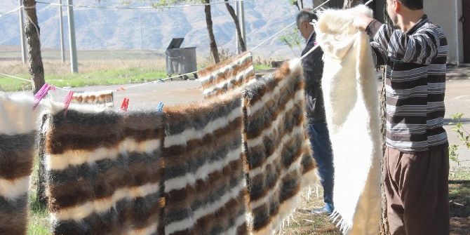 Siirt Battaniyesi Küllerinden Doğdu