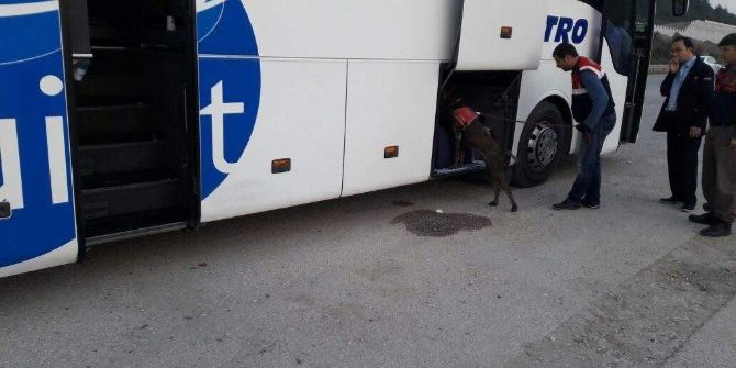 Bursa Jandarması Binlerce Aranan Suçluyu Yakaladı