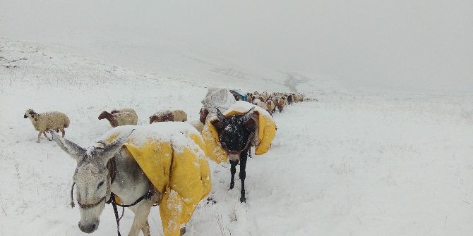Kar Yağışı Peynir Üreticilerini Mağdur Etti