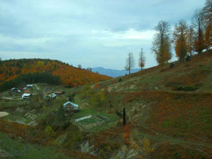 Akyazı Boztepe Köyü