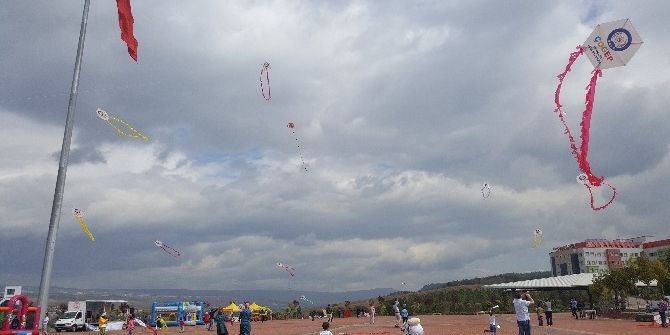 Tdp’den Uçurtma Şenliği