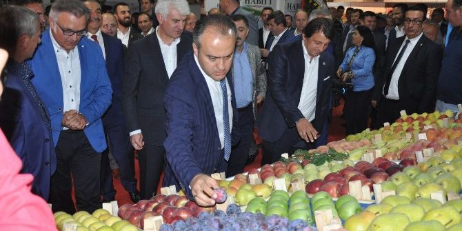 İnegöl’de Tarım Fuarı