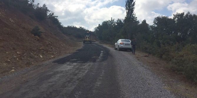 Gördes’in Yolları Büyükşehir’le Yenileniyor