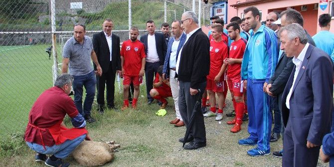 Zonguldak Süper Amatör Küme Futbol Sezonu Kurban Kesilerek Açıldı
