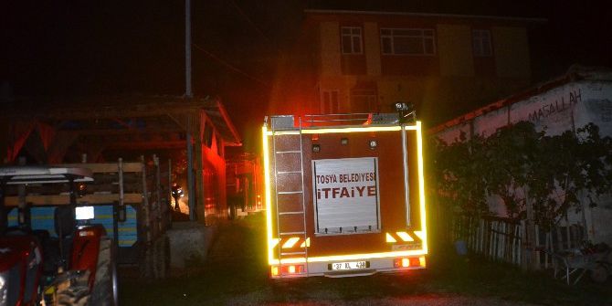 Samanlık Yangınında Bir Aile Ölümden Döndü
