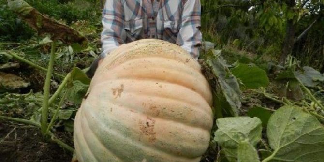 Kendisi De Şaştı Kaldı