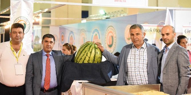 Diyarbakır Karpuzu, Örgü Peyniri, Kadayıfıyla Yörex’te