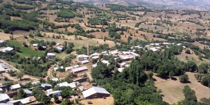 Zara Dilekpınarı Köyü