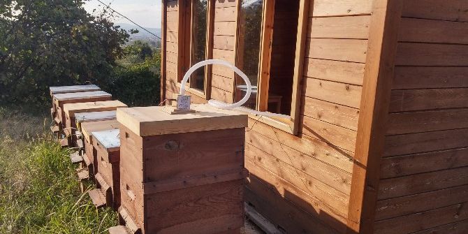 Şifa Kaynağı Arılar Şaşırtıyor