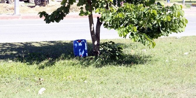 Şüpheli Bidon Polisi Harekete Geçirdi