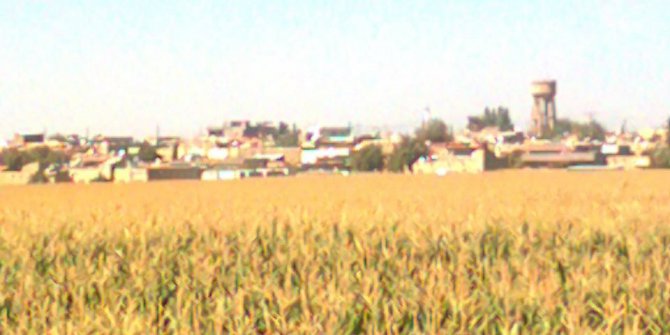 Kızıltepe Arıklı Köyü