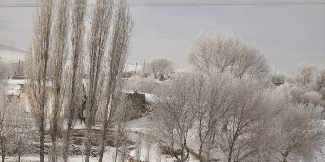 Horasan Aşağıtahirhoca Köyü