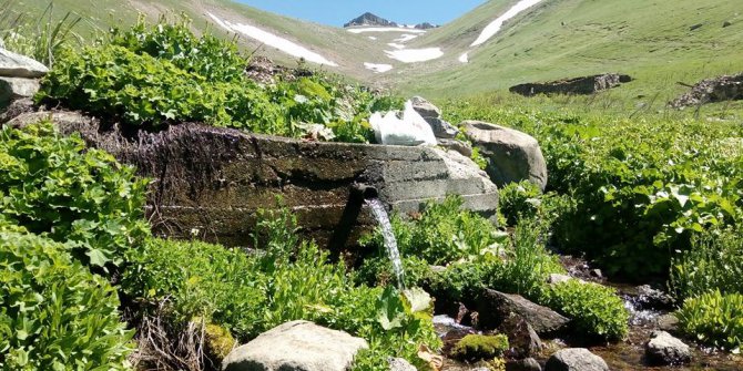 İspir Başpınar Köyü