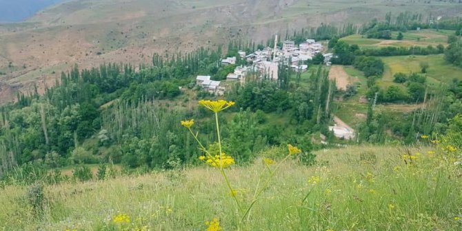 İspir Halilpaşa Köyü