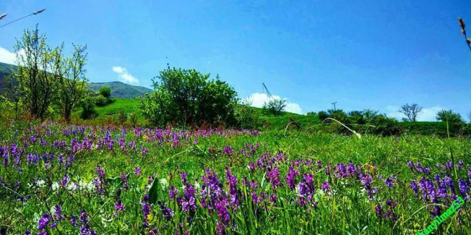 İspir Irmakköy Köyü