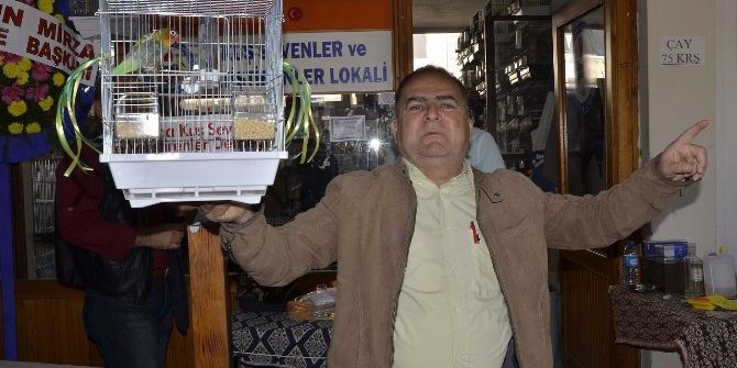 Bandırma’da Kuş Mezadı