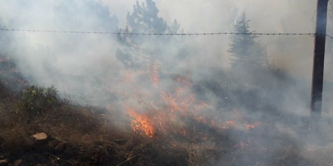 Yozgat’ta Orman Yangınını Vali Yurtnaç Bildirdi