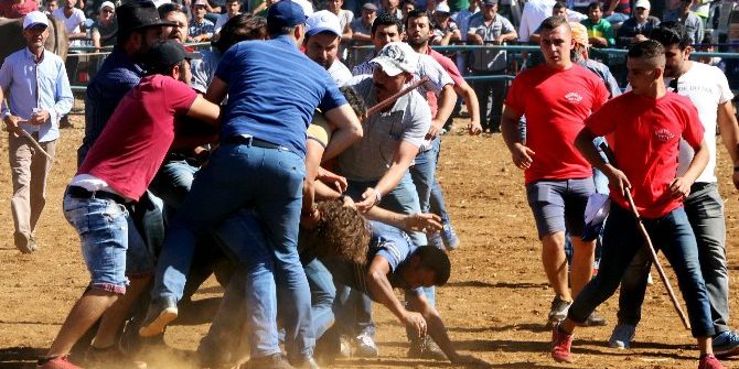Boğalar Ayrı, Sahipleri Ayrı Güreşti